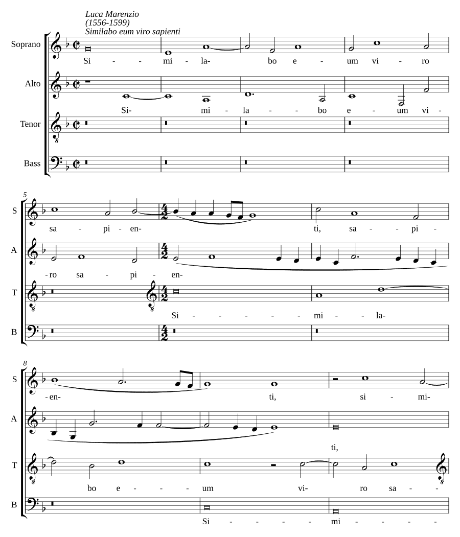Я уподоблю его мудрому человеку (Similabo eum viro sapienti)