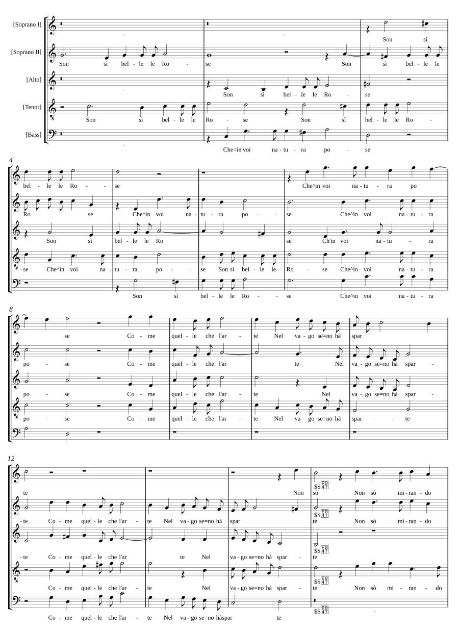 Розы так прекрасны (Son sì belle le rose)
