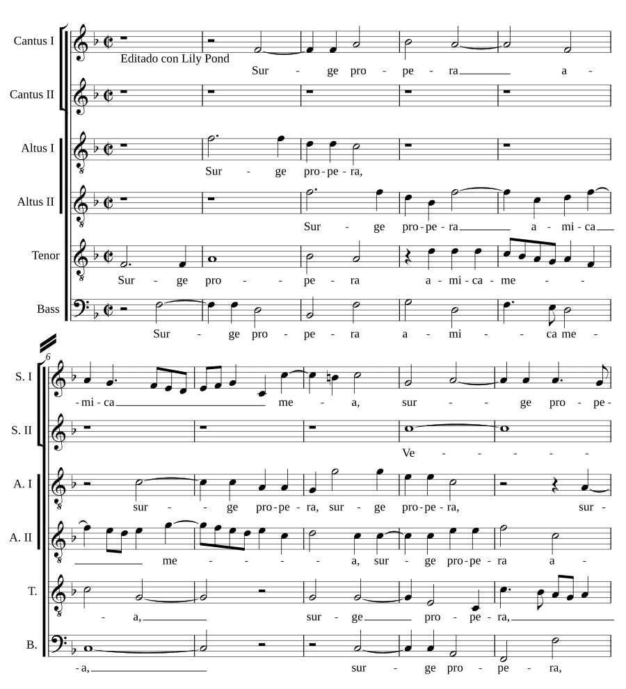 Встань, поспеши (Surge propera)