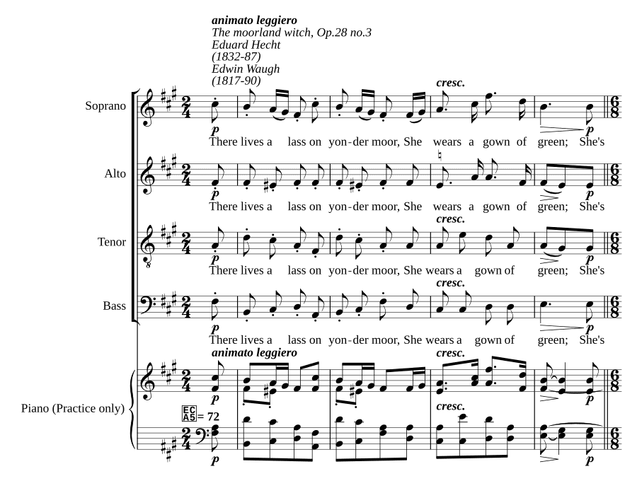Ведьма с пустоши, соч. 28 № 3 (The moorland witch, Op.28 no.3)