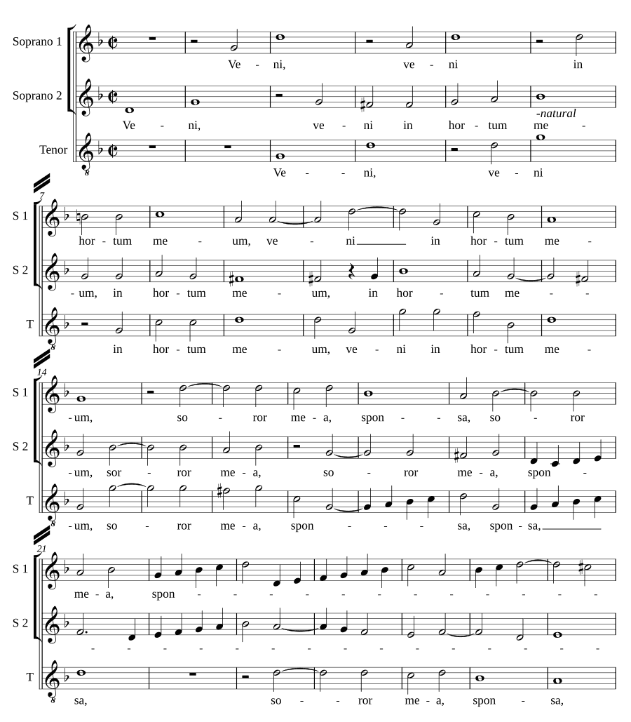 Приди в мой сад (Veni in hortum meum)